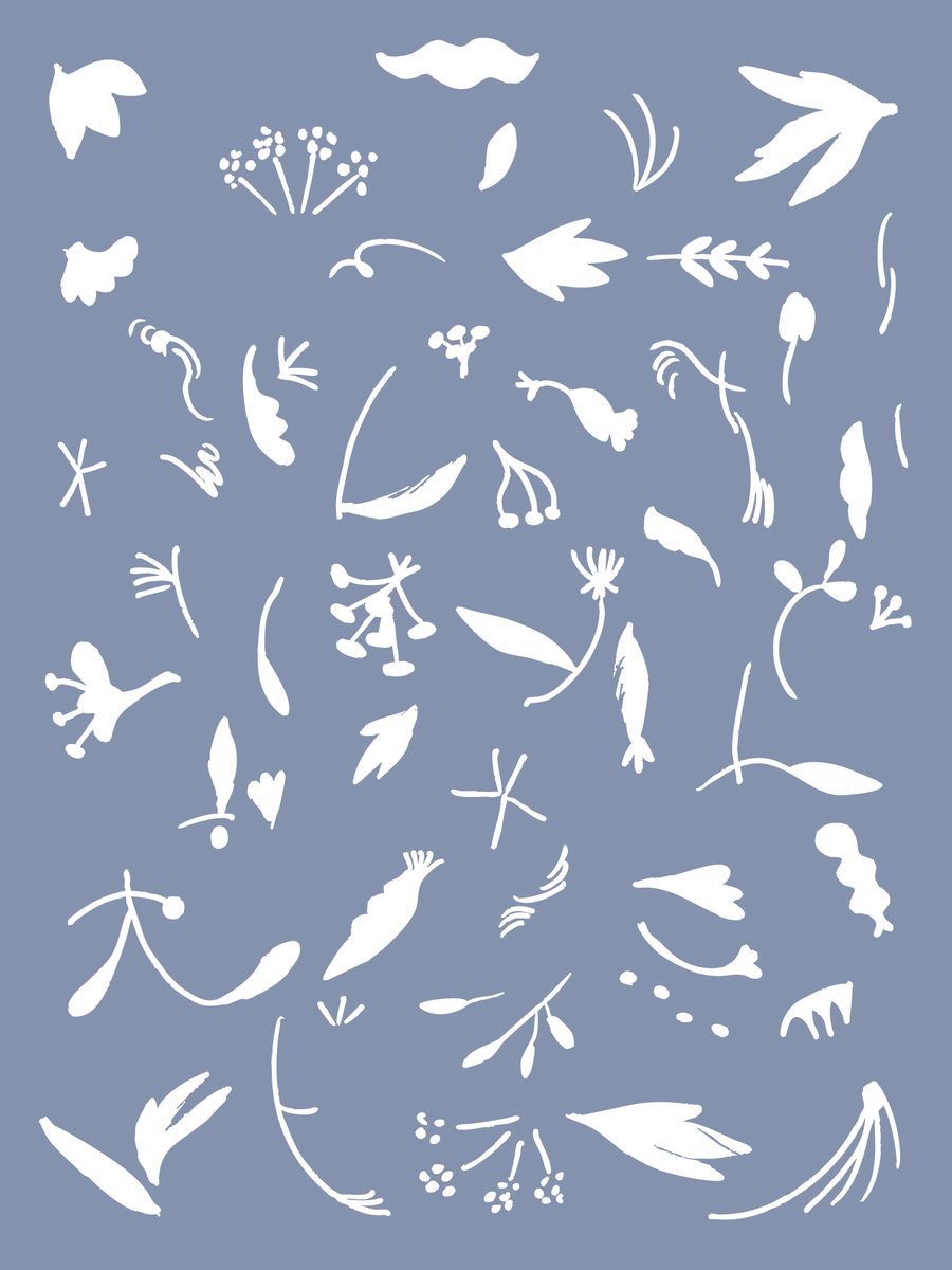 Blue Meadow